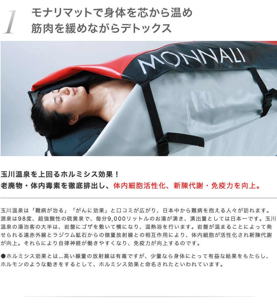 モナリマットでデトックス